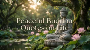 Peaceful Buddha Quotes on Life